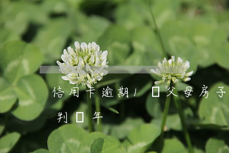 信用卡逾期1萬父母房子(信用卡逾期1萬元判幾年)