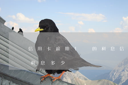 信用卡逾期1萬的利息(信用卡1w逾期一天利息多少)