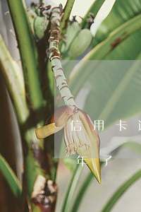 信用卡逾期1萬被訴訟(信用卡一萬多逾期一年了說要起訴了真的嗎)