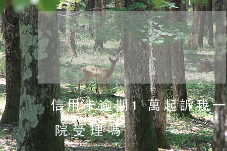 信用卡逾期1萬起訴我(一萬多信用卡逾期法院受理嗎)