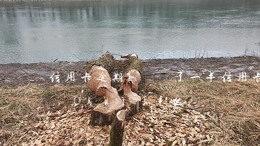 信用卡逾期1萬還了一半(信用卡逾期1萬多會(huì)怎么樣)