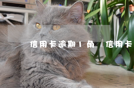 信用卡逾期1角錢(信用卡 逾期 一周)