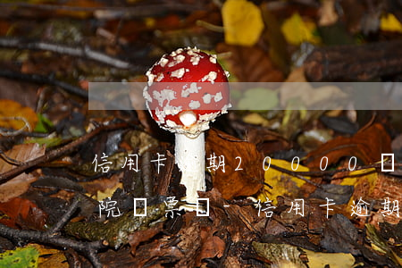 信用卡逾期20000會(huì)收到法院傳票嗎-信用卡逾期20000會(huì)收到法院傳票嗎是真的嗎