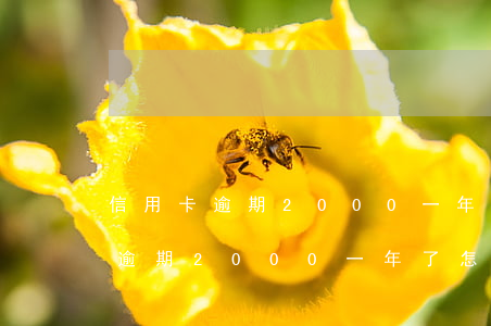 信用卡逾期2000一年了怎么辦-信用卡逾期2000一年了怎么辦理