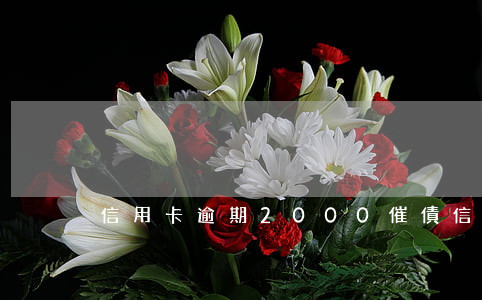 信用卡逾期2000催債(信用卡逾期催收)