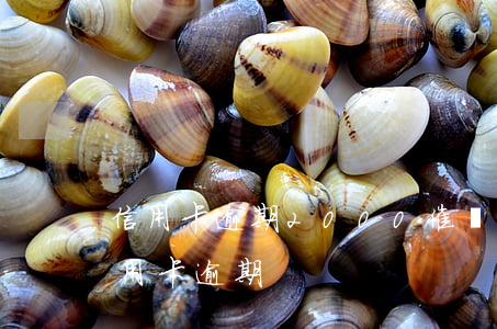 信用卡逾期2000催債(銀行讓司法所催信用卡逾期)