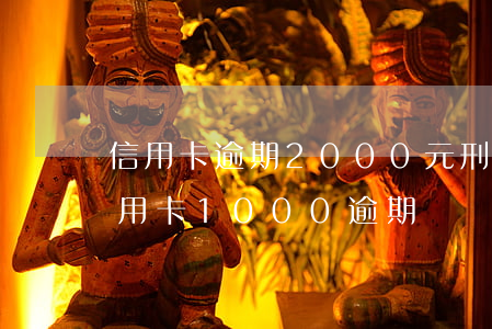 信用卡逾期2000元刑事責(zé)任(信用卡1000逾期)