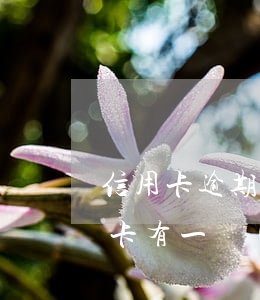信用卡逾期200多影響房貸嗎(征信上信用卡有一個(gè)逾期上征信影響房貸么)