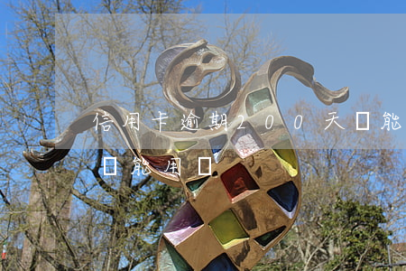 信用卡逾期200天還能用嗎(逾期后信用卡還能用嗎)
