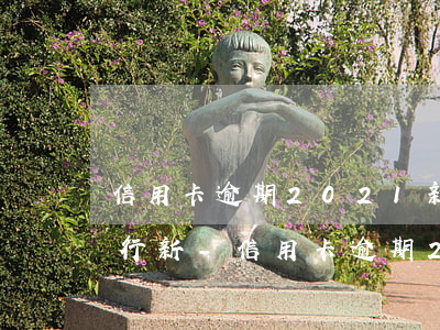 信用卡逾期2021新規(guī)各大銀行新-信用卡逾期2021新規(guī)各大銀行新規(guī)解讀
