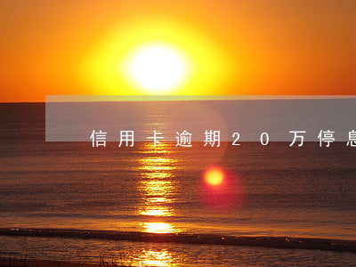 信用卡逾期20万停息挂账