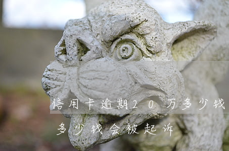信用卡逾期20万多少钱(信用卡逾期20万多少钱会被起诉)