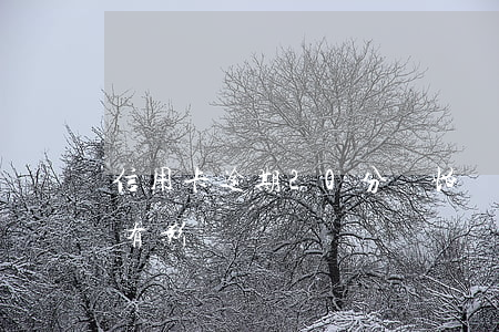 信用卡逾期20分鐘怕嗎(信用卡逾期十分鐘有影響嗎)
