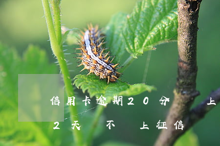 信用卡逾期20分鐘會上征信嗎(銀行卡逾期2天會不會上征信)