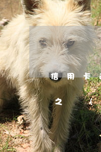 信用卡逾期20分鐘算逾期嗎-信用卡3天之內(nèi)算逾期嗎