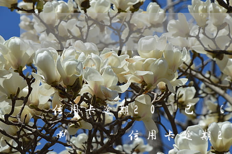 信用卡逾期20塊已經(jīng)還了有影響嗎-信用卡逾期20塊已經(jīng)還了有影響嗎怎么辦