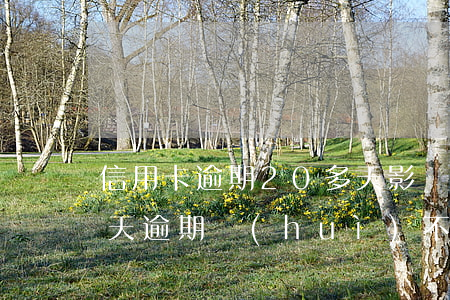 信用卡逾期20多天影響征信嗎(信用卡10天逾期會(huì)不會(huì)影響征信)
