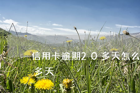 信用卡逾期20多天怎么办（信用卡逾期20多天）