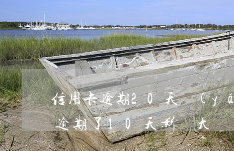 信用卡逾期20天嚴(yán)重么(信用卡逾期了10天影響大嗎)