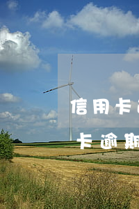 信用卡逾期20天嚴(yán)重嗎-信用卡逾期20天嚴(yán)重嗎會(huì)打聯(lián)系人電話嘛