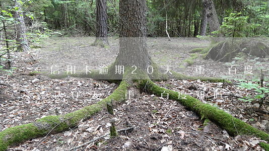 信用卡逾期20天嚴重嗎百度-信用卡逾期20天嚴重嗎百度知道