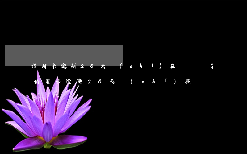 信用卡逾期20天實(shí)在沒錢還了（信用卡逾期20天實(shí)在沒錢還）