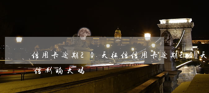 信用卡逾期20天征信(信用卡逾期20天征信影响大吗)