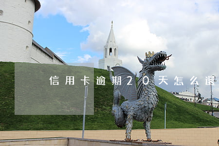 信用卡逾期20天怎么還款