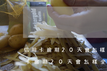 信用卡逾期20天會怎樣?全額還款嗎-信用卡逾期20天會怎樣?全額還款嗎