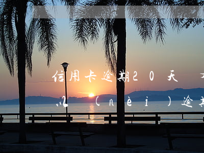 信用卡逾期20天會有啥影響(信用卡30天以內(nèi)逾期)