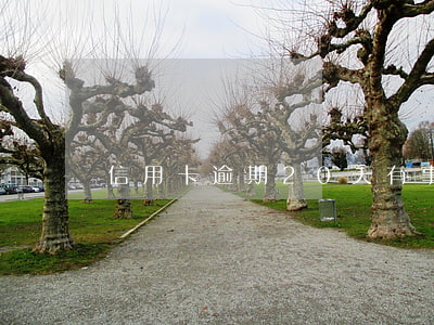 信用卡逾期20天有事沒