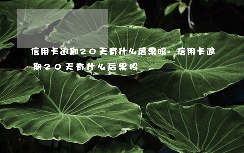 信用卡逾期20天有什么后果吗-信用卡逾期20天有什么后果吗