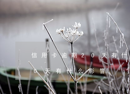 信用卡逾期20天有什么影響(信用卡逾期20天有什么影響)