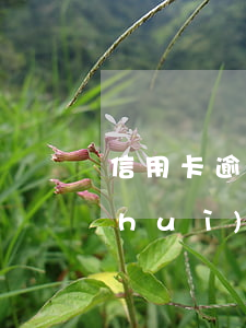 信用卡逾期20天本金3萬(wàn)會(huì)怎樣(信用卡30萬(wàn)逾期兩個(gè)月,還不起了)