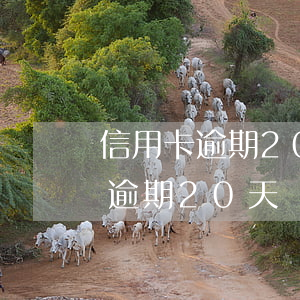信用卡逾期20天發(fā)律師函(信用卡逾期20天發(fā)律師函)
