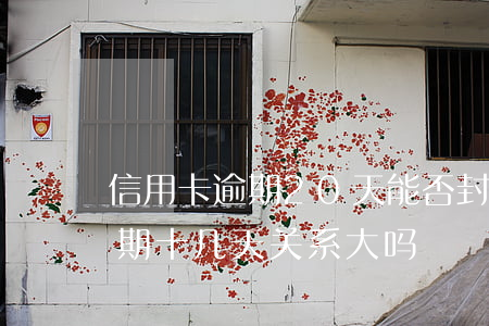 信用卡逾期20天能否封卡(不小心信用卡逾期十几天关系大吗)