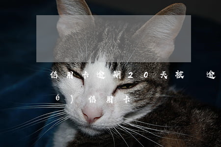 信用卡逾期20天被鎖(逾期多久凍結(jié)信用卡)