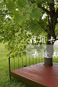 信用卡逾期20天要求全額還款合理嗎（信用卡逾期20天要求全額還款）