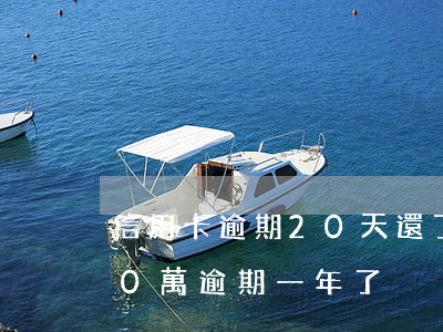 信用卡逾期20天還了1000-信用卡20萬逾期一年了
