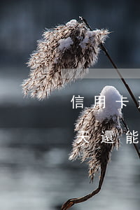 信用卡逾期20天還了最低還款-逾期20天還能最低還款嗎