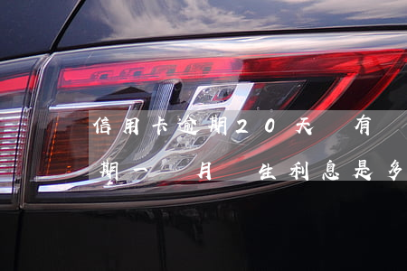 信用卡逾期20天還有額度(20萬信用卡逾期一個月產生利息是多少)