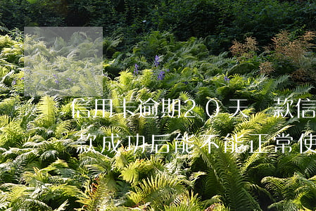 信用卡逾期20天還款(信用卡逾期20天還款成功后能不能正常使用)