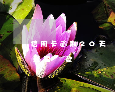 信用卡逾期20天還款怎么辦(信用卡20天就要還款)