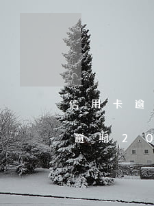 信用卡逾期20天電話告知怎么辦-信用卡逾期20天電話告知怎么辦理