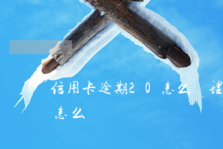 信用卡逾期20怎么辦理(信用卡逾期20天怎么辦)