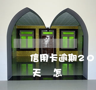 信用卡逾期20次會怎樣(信用卡逾期二十幾天會怎樣?)