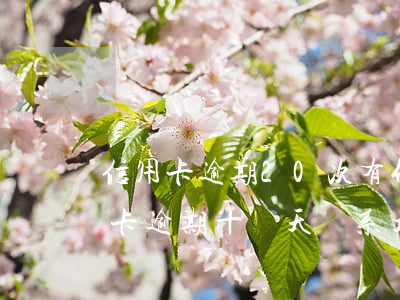 信用卡逾期20次有什么影響-不小心信用卡逾期十幾天關系大嗎