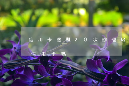 信用卡逾期20次辦理房貸(房貸逾期過能辦信用卡嗎)