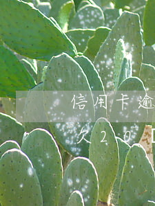 信用卡逾期20萬(wàn)怎么辦(信用卡欠20萬(wàn)逾期兩年)