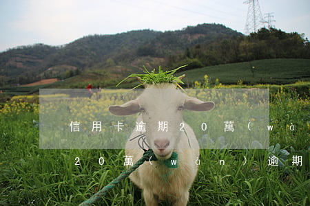 信用卡逾期20萬(wàn)怎么還(信用卡20萬(wàn)逾期會(huì)不會(huì)坐牢)